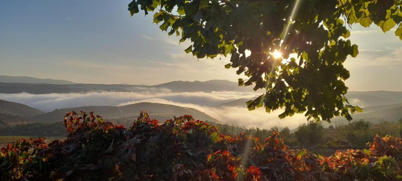 Quinta Alto Da Fraga Villa Vila Nova de Foz Coa Kültér fotó