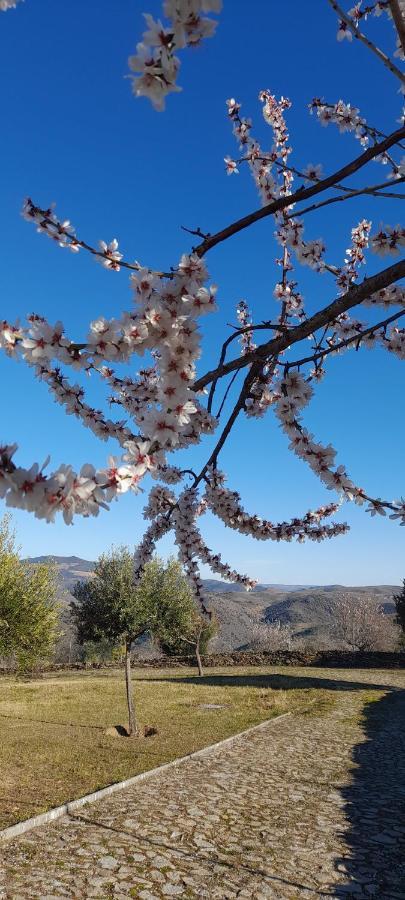Quinta Alto Da Fraga Villa Vila Nova de Foz Coa Kültér fotó