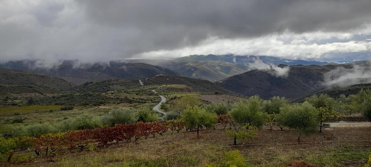 Quinta Alto Da Fraga Villa Vila Nova de Foz Coa Kültér fotó
