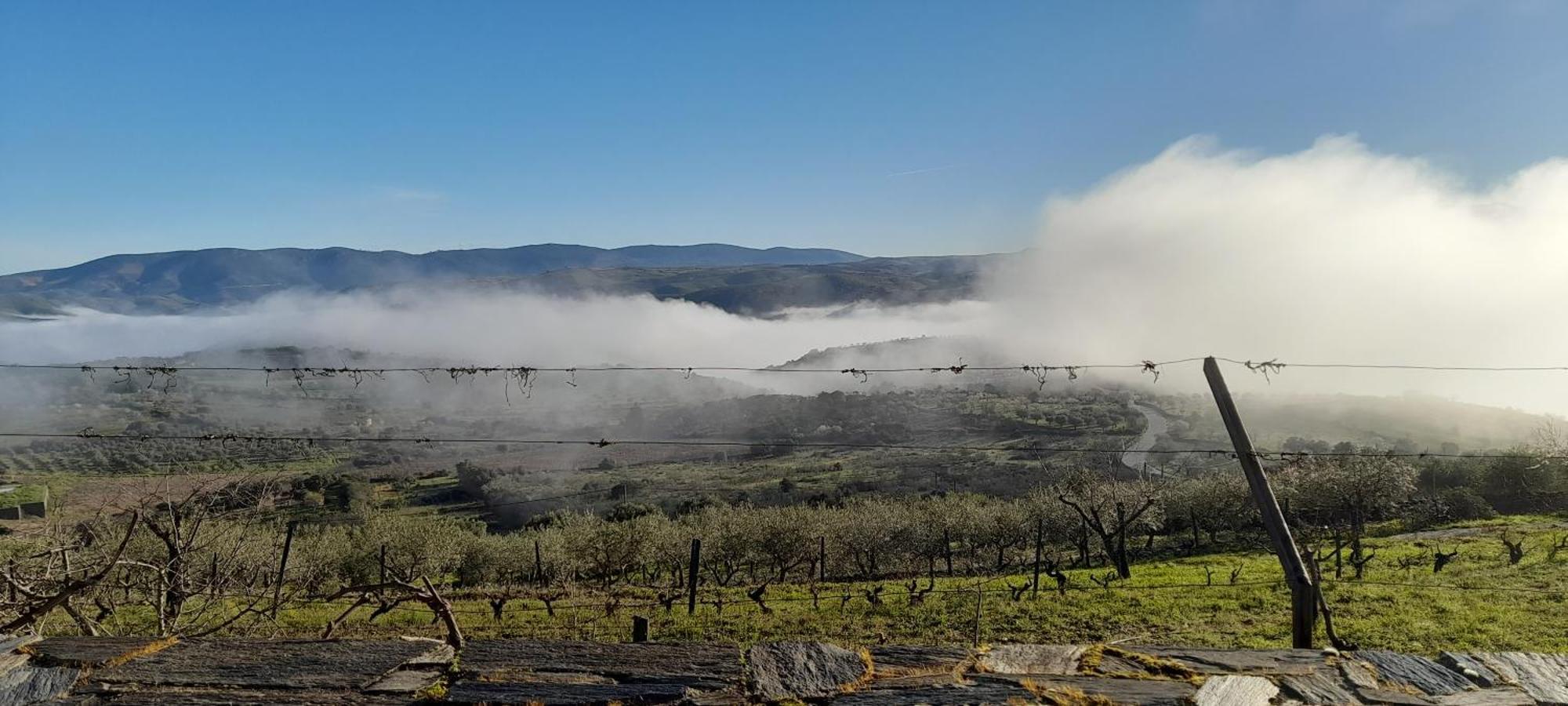 Quinta Alto Da Fraga Villa Vila Nova de Foz Coa Kültér fotó