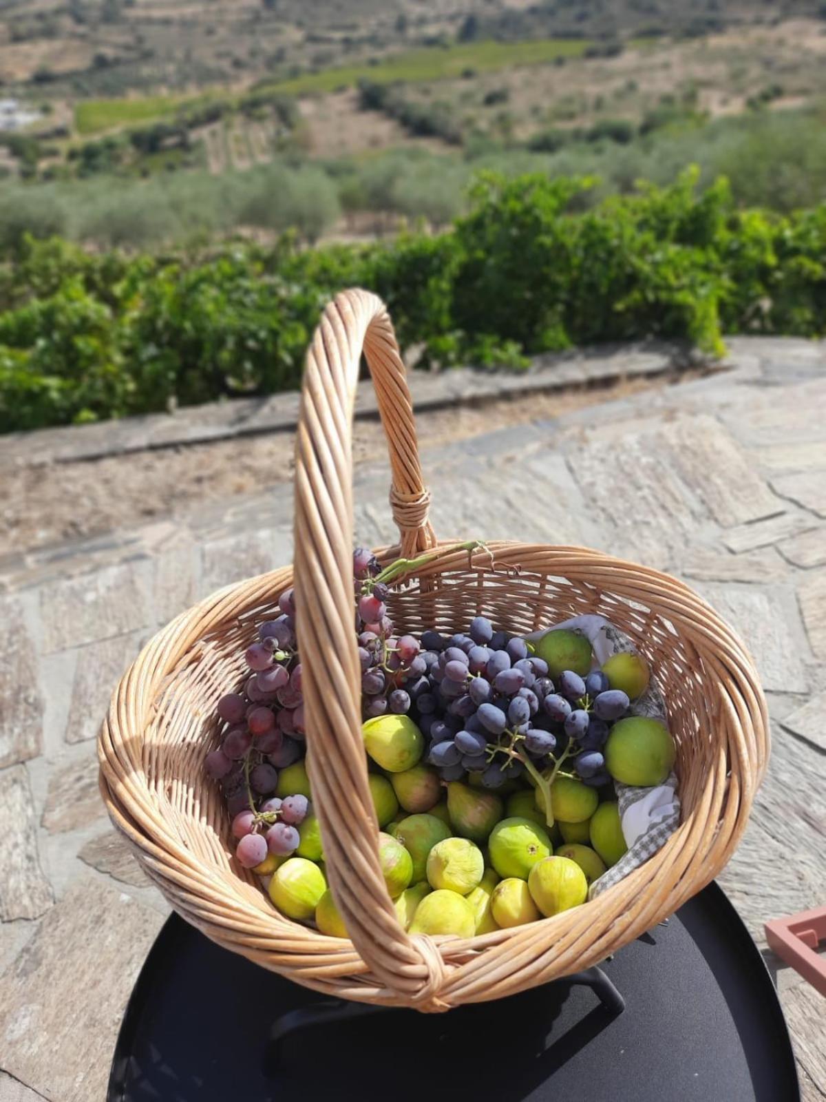Quinta Alto Da Fraga Villa Vila Nova de Foz Coa Kültér fotó